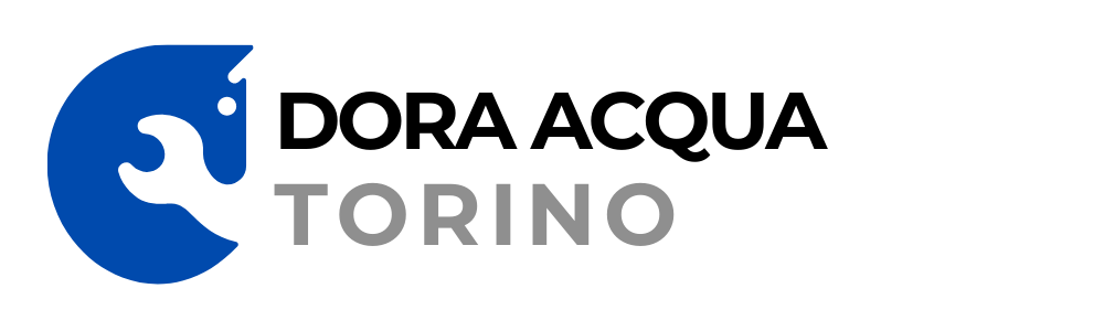 Dora Acqua Torino